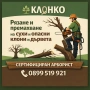 Премахване на опасни клони и дървета | Резитба | Грижа за дърветата, снимка 1