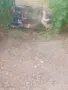 Гъски град Пазарджик , снимка 1