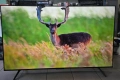 - Топ цена - TV TCL 65" QLED 4К 120Hz, снимка 2