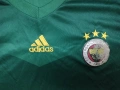 Fenerbahce - мъжка тениска на Фенербахче, снимка 11