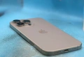 Apple iPhone 16 Pro Max, 256GB, 5G, Natural Titanium , снимка 10