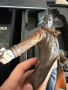 Watch Dogs DedSec Edition Collectors за PlayStation 4 като ново, снимка 3