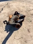 2567196, jb3c3k170e2c десен шенкел с главина от Ford Ranger Wildtrak 3.2 EcoBoost Adblue 200 ph., снимка 2