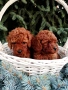 Той Пудел Poodle toi , снимка 4