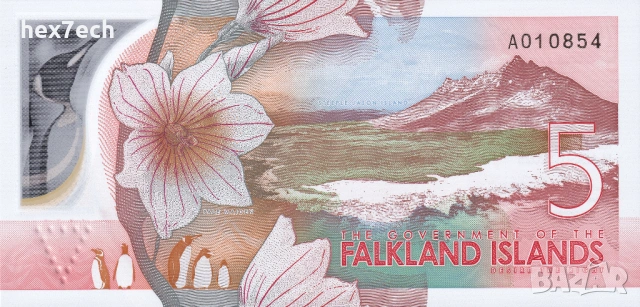 ❤️ ⭐ Фолклендски Острови 2025 5 паунда полимер UNC нова ⭐ ❤️, снимка 3 - Нумизматика и бонистика - 54118850