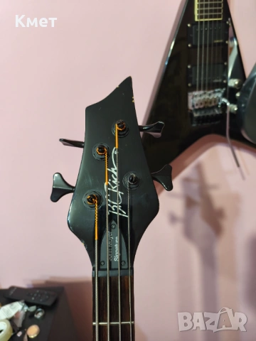 B.C. Rich Havoc Skull One bass , бас китара модел на John Moyer от Disturbed, снимка 3 - Китари - 54211626