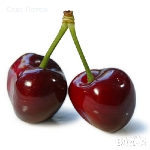Български череши френски сортове