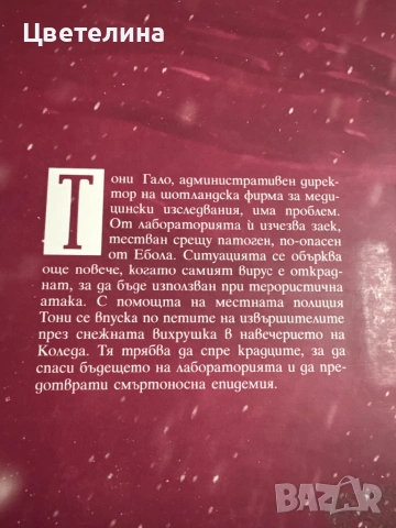 Кен Фолет  - Снежна вихрушка , снимка 2 - Художествена литература - 54584900