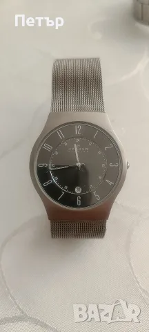 Skagen Denmark Sundby Titanium (233XLTTM)