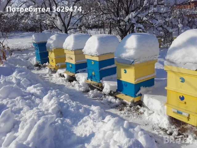 Продавам пчелни семейства