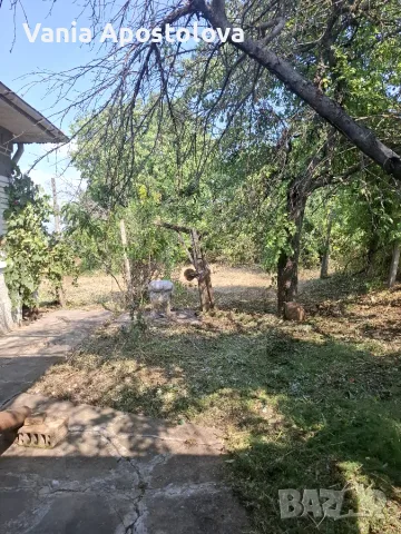 Продава къща с. Акдемир обл. Силистра, снимка 11 - Къщи - 55680062