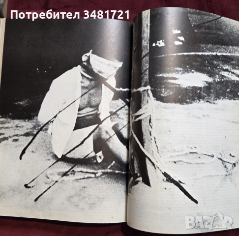 Илюстриран, военен справочник - японската военна машина през ВСВ/ The Japanese War Machine, снимка 17 - История, политика и общество - 54961026