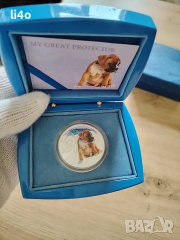 Колекционерска Сребърна монета куче боксер 1oz Proof 31.1 гр с камък Сваровски ограничен тираж 5000 , снимка 5 - Нумизматика и бонистика - 55457093