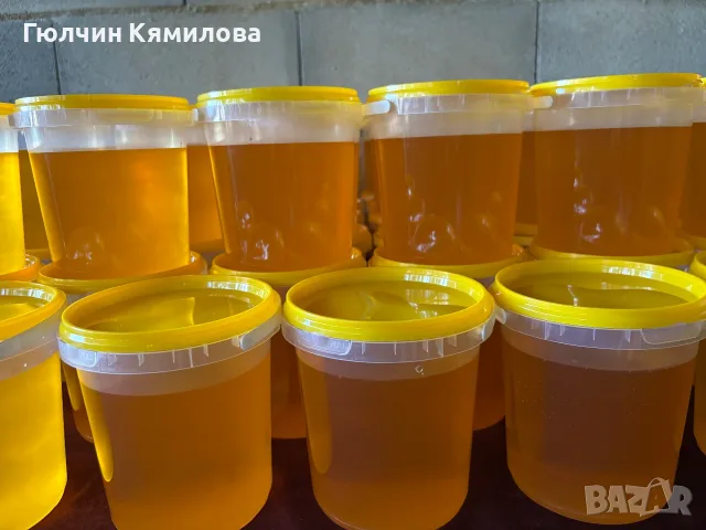 Домашен пчелен мед
