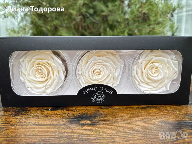Вечни рози главички 8 см, снимка 7 - Декорация за дома - 55159129