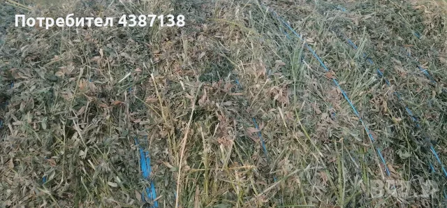 Рулонни бали трета коса люцерна, снимка 2 - За селскостопански - 55340073