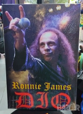 Ronnie James DIO-картина в рамка