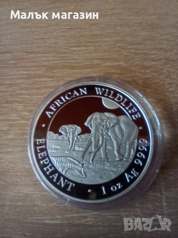 1 oz сребро 100 шилинга 2026 Сомалийски слон