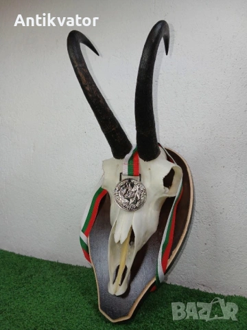 Красив трофей със сребърен медал и дървена поатавка