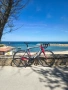 Шосеен карбонов Wilier triestina ultra carbon full Campagnolo, снимка 2
