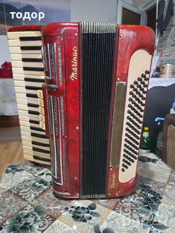Маринуче 80 баса, снимка 2 - Акордеони - 55363828