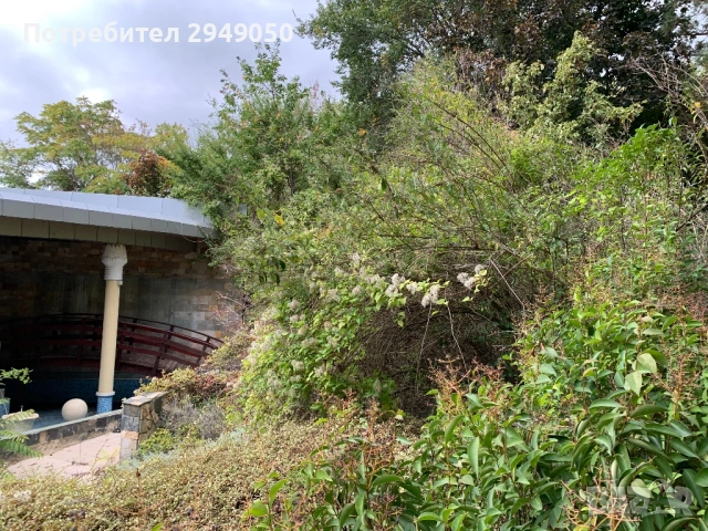 Почистване на дворове и всякакъв вид парцели, снимка 9 - Други услуги - 54068795