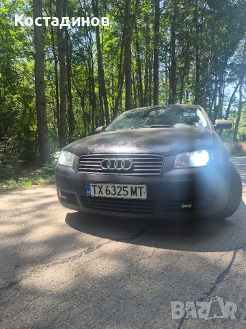 Audi A3 8p 2.0TDI, снимка 8 - Автомобили и джипове - 54973096