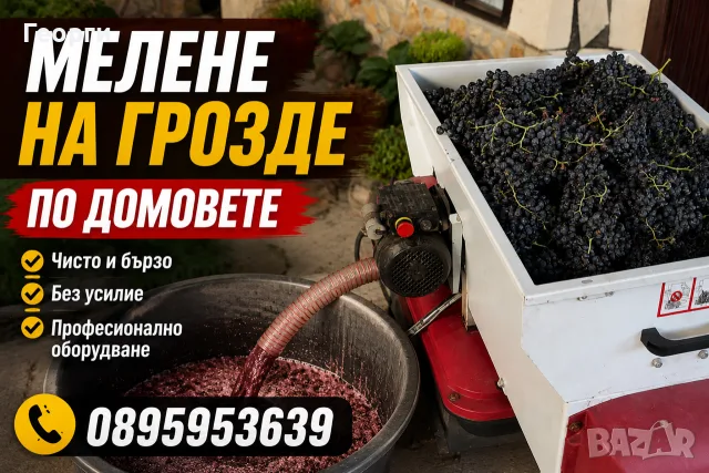 Мелене на грозде