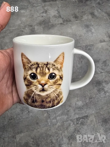 чаши кучета и котки 
