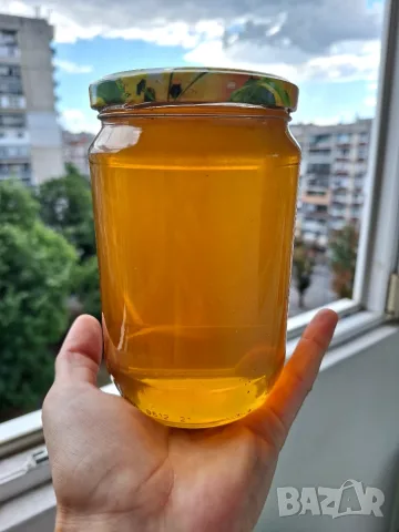 Натурален пчелен мед от производител , снимка 3 - Пчелни продукти - 55481784
