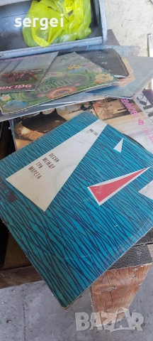 Грамофонни плочи, снимка 10 - Грамофонни плочи - 54299562