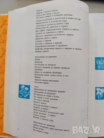 Запознаване с природата, снимка 8 - Енциклопедии, справочници - 55583844