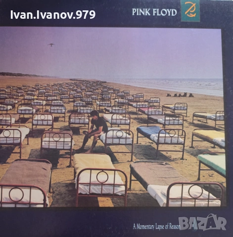 Vinyl (Pink Floyd - A Momentary Lapse Of Reason)