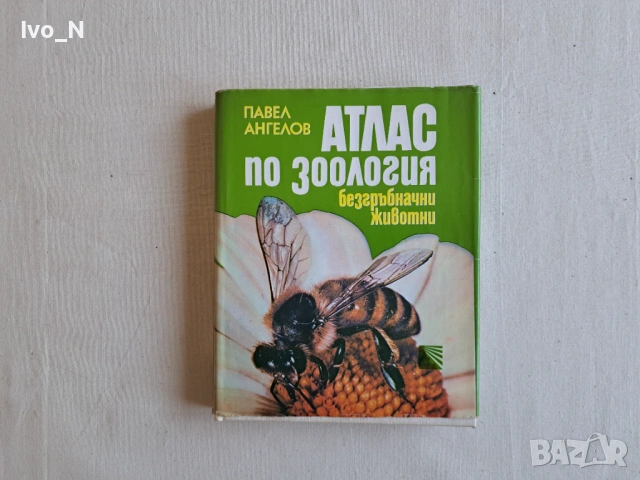 Атлас по зоология - Безгръбначни животни.