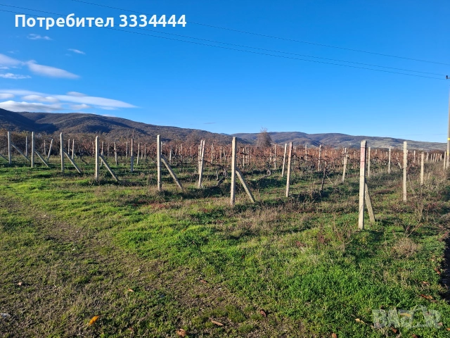 Продавам имот местност с.Марково, гр. Пловдив, снимка 6 - Земеделска земя - 55123025