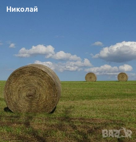 Продавам Люцерна 2026 , снимка 2 - За селскостопански - 54486118