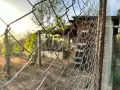 вила на Крушевския байър , снимка 8