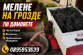 Мелене на грозде, снимка 1
