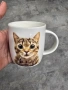чаши кучета и котки , снимка 1