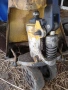 Продавам части за пелетни колички , снимка 5