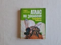 Атлас по зоология - Безгръбначни животни., снимка 1