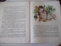 Книга "Малкият Мук - Вилхелм Хауф" - 28 стр., снимка 6