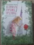 Книга- "Голямата странна градина"- Владимир Зарев, снимка 1