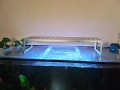 Лампи за аквариум Week Aqua , снимка 2