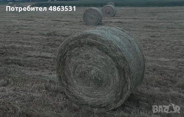 Бали 120х120 слама и сено 