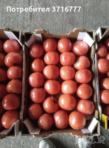 зеленчуци и плодове , снимка 10 - Други стоки за дома - 54265438