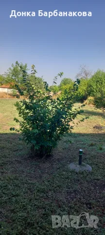 Продавам къща в село Зетьово , снимка 7 - Къщи - 55339355