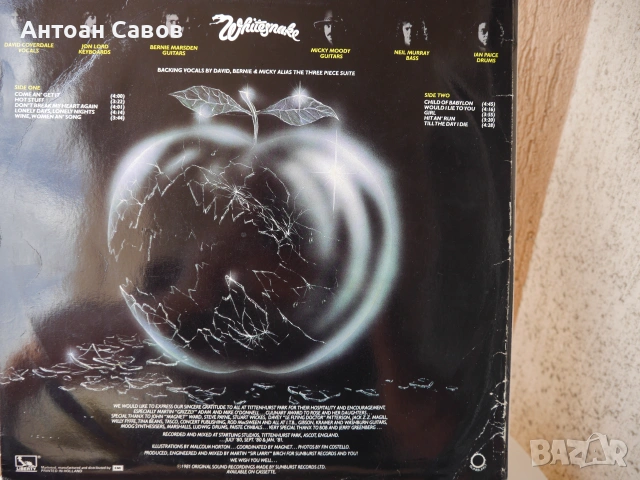 Rainbow / Foreigner / Whitesnake, снимка 15 - Грамофонни плочи - 43595565