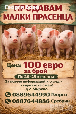 Продавам малки праденца