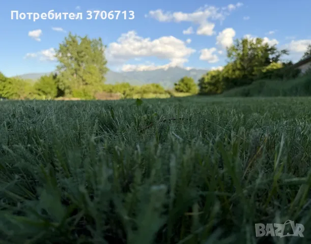 Градинарски услуги в град София и Софийска област - косене, почистване и поддръжка на дворове